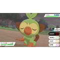 『ポケットモンスター ソード・シールド』ガラル地方ポケモンの寝顔11選!厳ついアイツから可愛いアイツまで【特集】