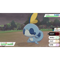 『ポケットモンスター ソード・シールド』ガラル地方ポケモンの寝顔11選！厳ついアイツから可愛いアイツまで【特集】