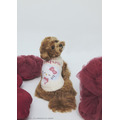 【gelato pique】 CAT＆DOG JQDプルオーバー ￥6,160